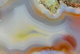 Colorful, Polished Condor Agate Section - Argentina #145521-1